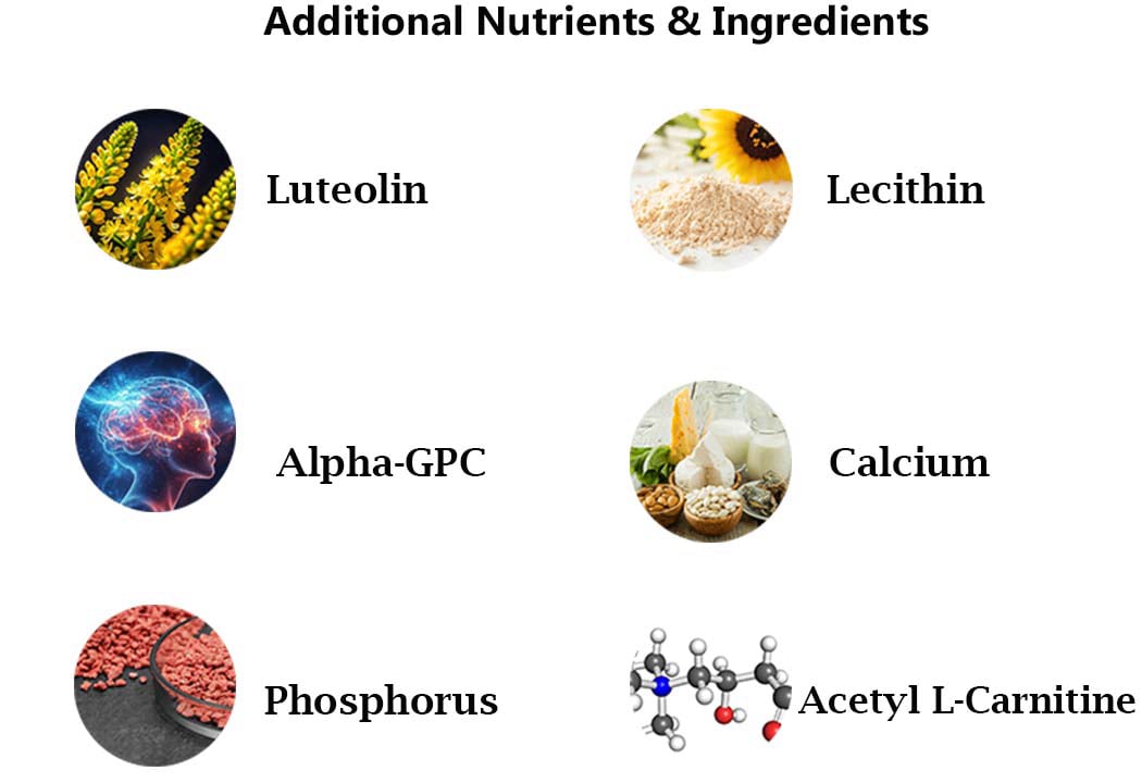 Advanced Memory Formula - Additional  Nutrients  & Ingredients