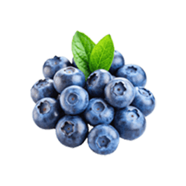 Advanced Memory Formula - Blueberry
