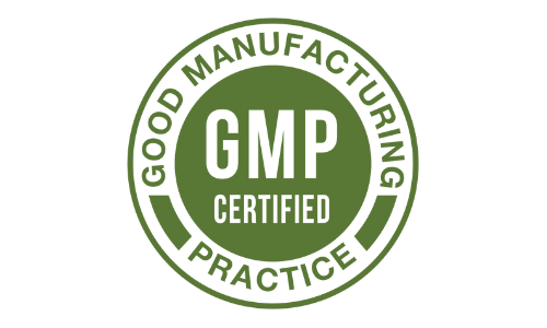 Advanced Memory Formula - gmp-certified-500x300